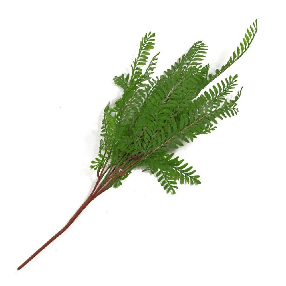 image-55cm Himilayan Maidenhair Fern Bush Dark Green Plant
