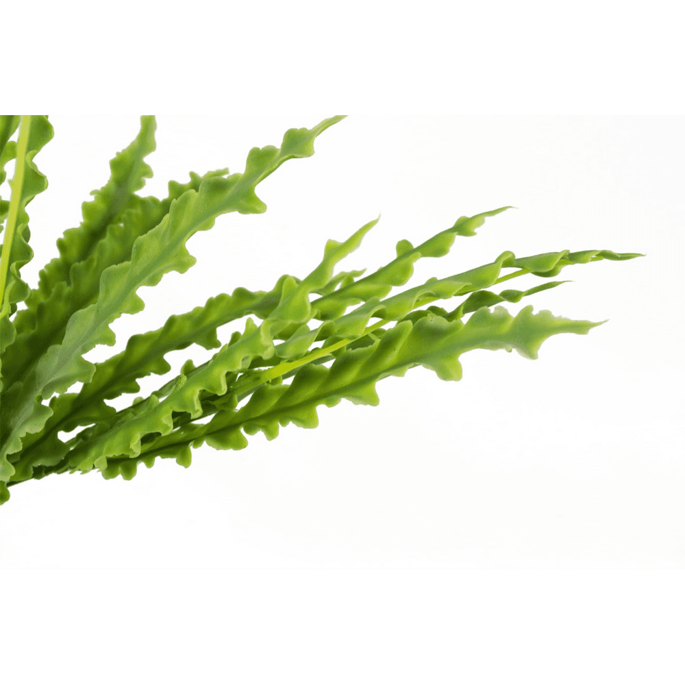 image-40cm Artificial Crocodile Fern Plant