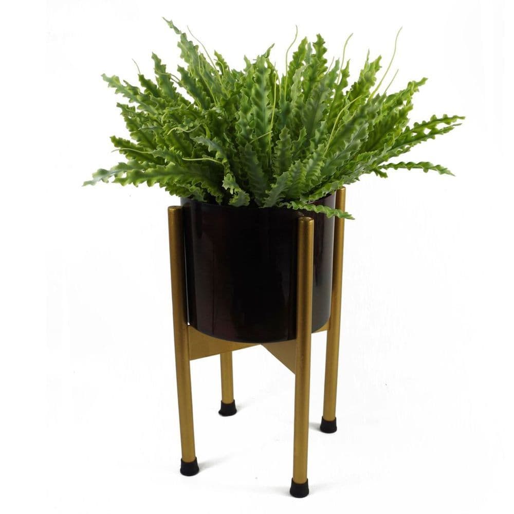 image-40cm Artificial Crocodile Fern Plant