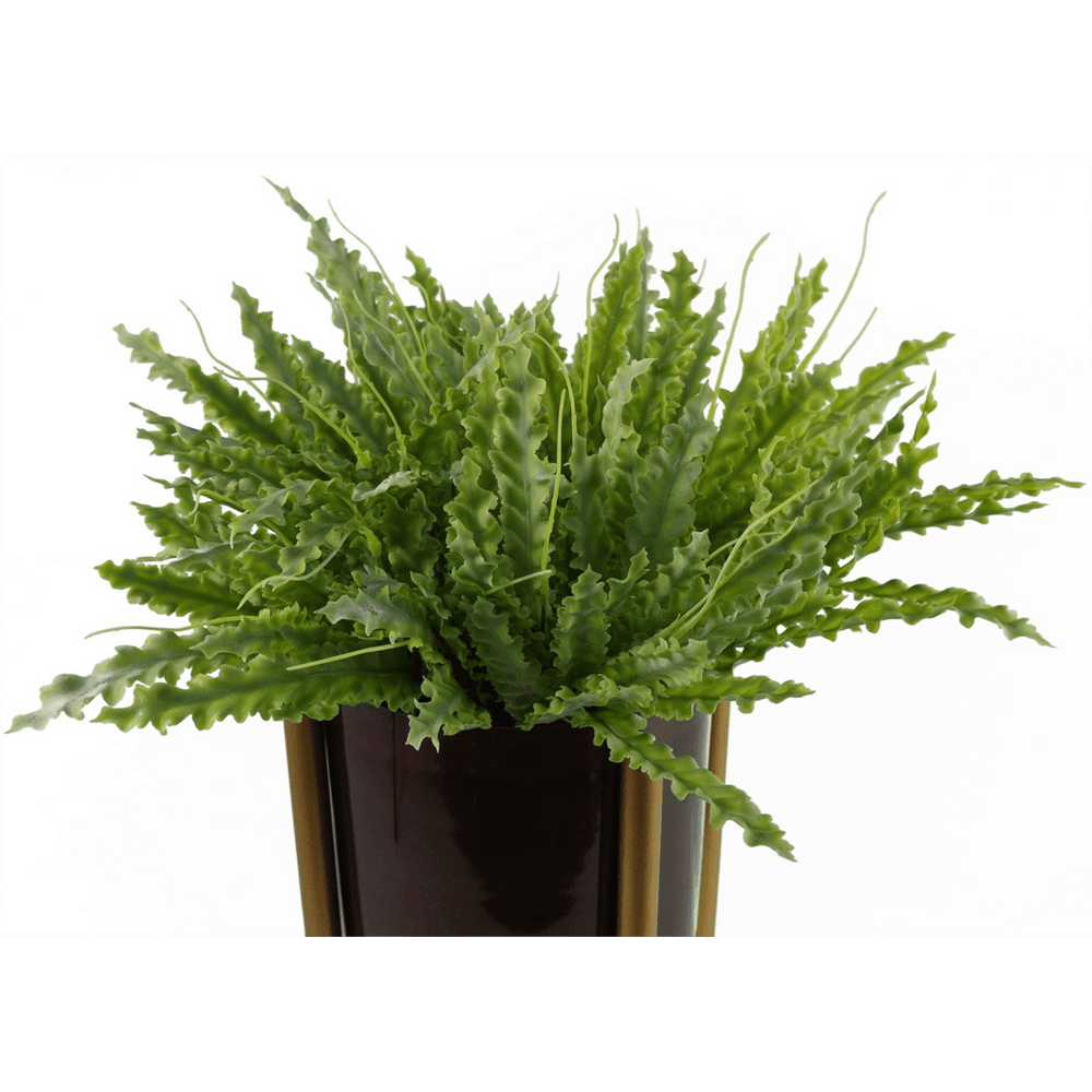 image-40cm Artificial Crocodile Fern Plant