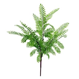 image-55cm Himilayan Maidenhair Fern Bush Light Green Plant