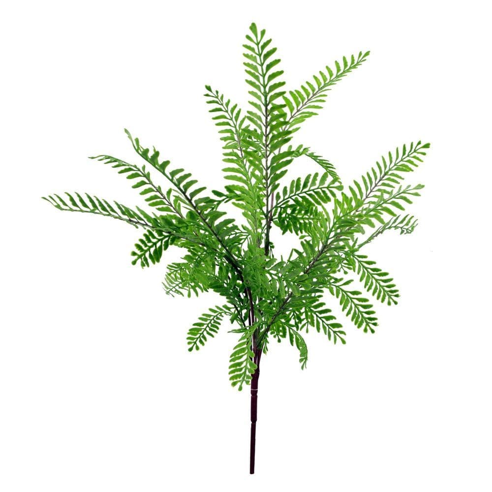 image-55cm Himilayan Maidenhair Fern Bush Light Green Plant