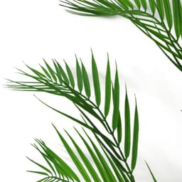 image-118cm Artificial Palm Tree- Unpotted 11 Leaves