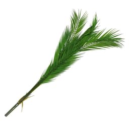 image-118cm Artificial Palm Tree- Unpotted 11 Leaves