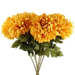 image-Pack of 6 x 75cm Extra Large Reflex Chrysanthemum - Gold