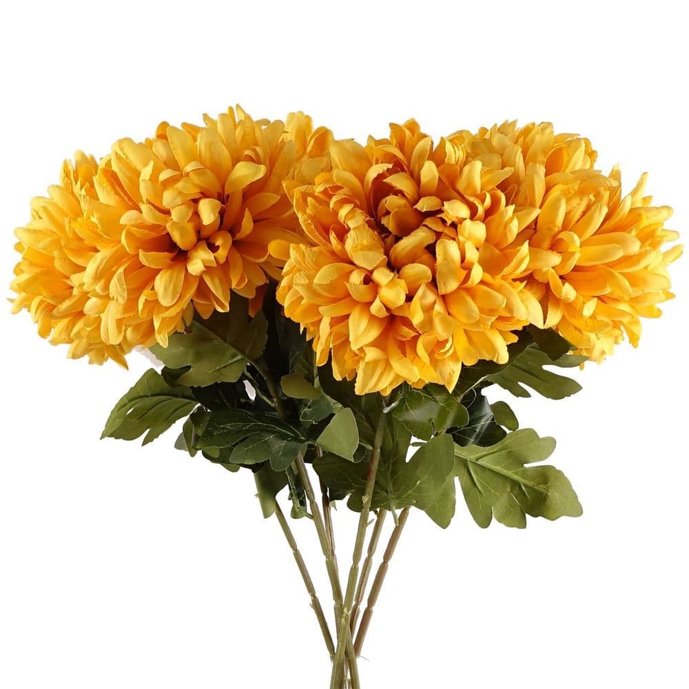 image-Pack of 6 x 75cm Extra Large Reflex Chrysanthemum - Gold
