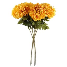 image-Pack of 6 x 75cm Extra Large Reflex Chrysanthemum - Gold