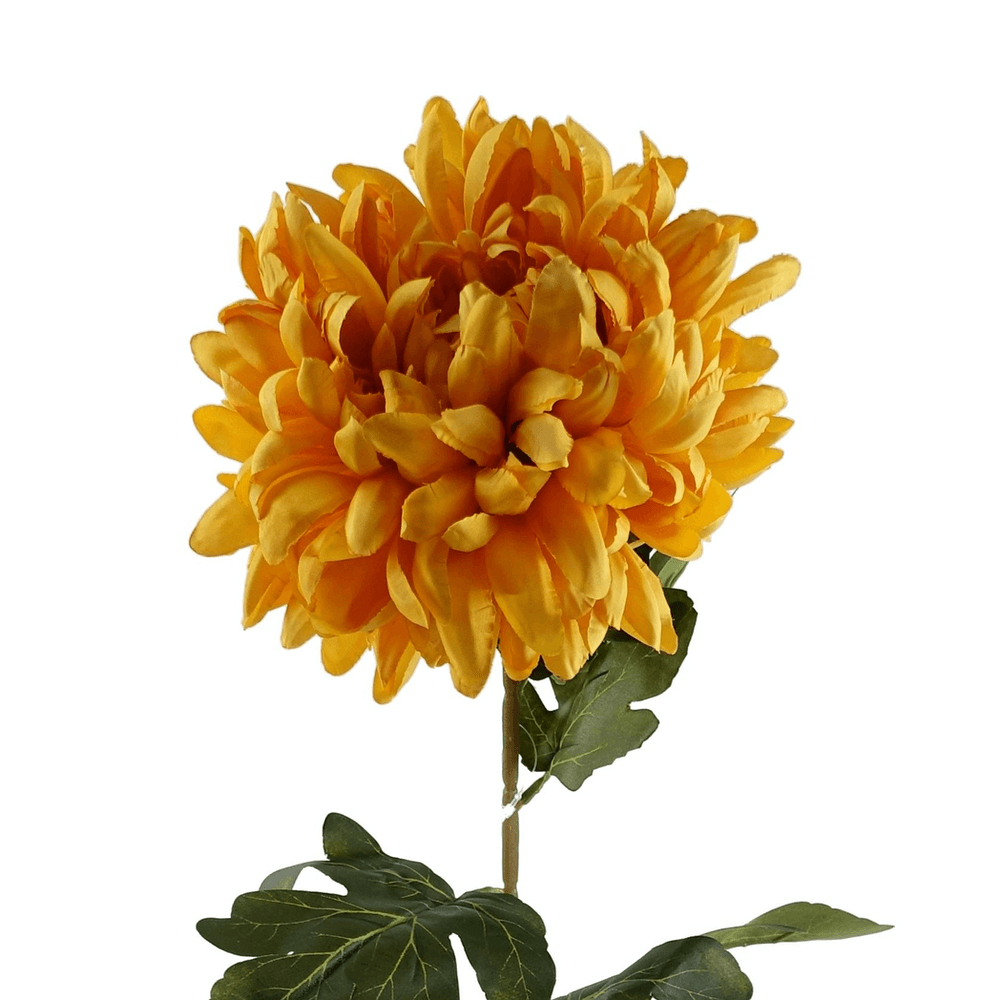 image-Pack of 6 x 75cm Extra Large Reflex Chrysanthemum - Gold