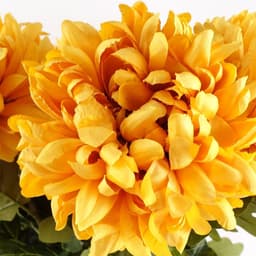 image-Pack of 6 x 75cm Extra Large Reflex Chrysanthemum - Gold