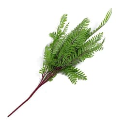 image-55cm Himilayan Maidenhair Fern Bush Light Green Plant
