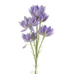 image-Pack of 6 x 60cm Purple Starflower Stem - 30 Flowers