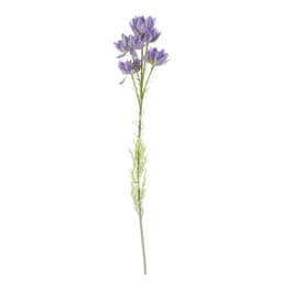 image-Pack of 6 x 60cm Purple Starflower Stem - 30 Flowers