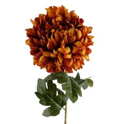 image-Pack of 6 x 75cm Extra Large Reflex Chrysanthemum - Orange