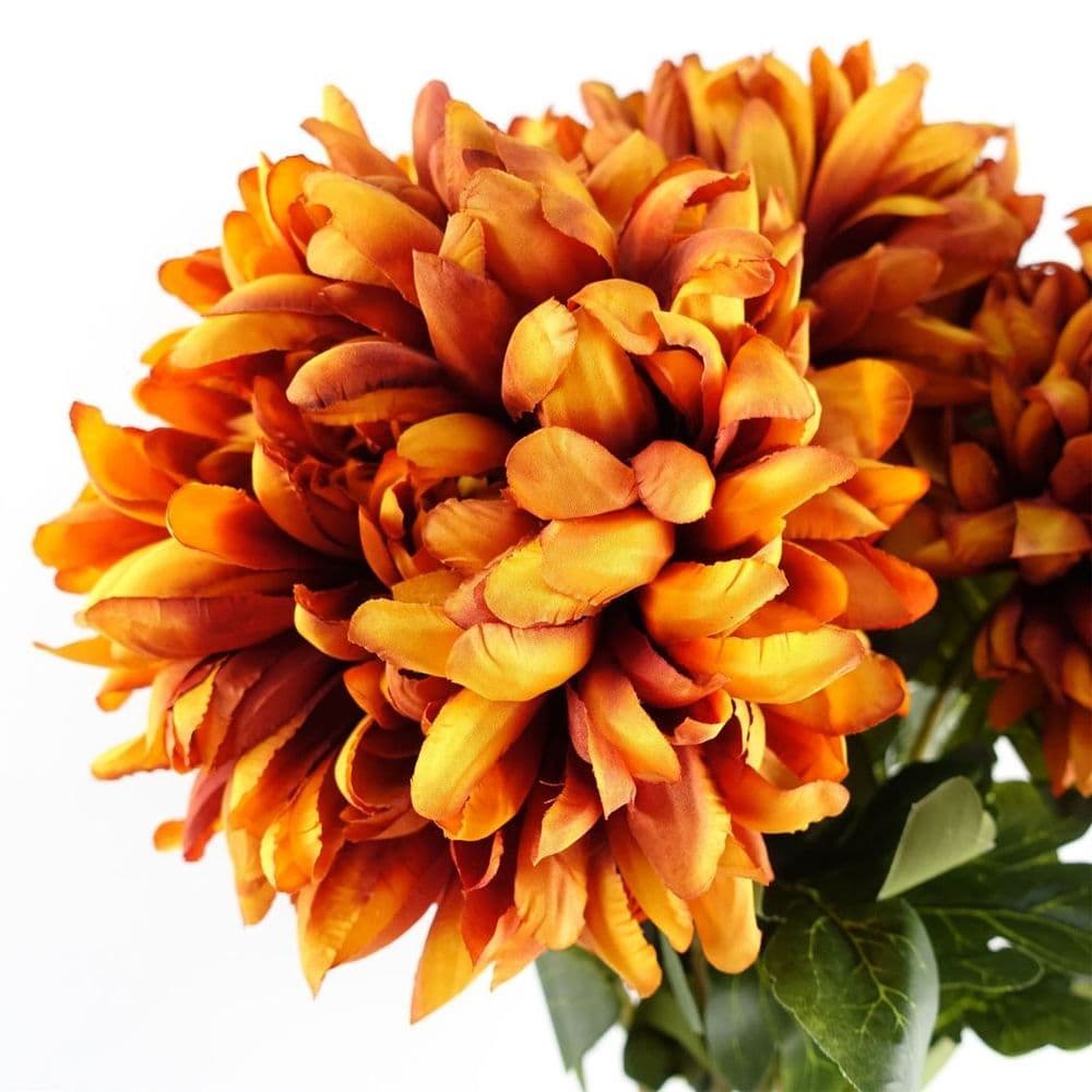 image-Pack of 6 x 75cm Extra Large Reflex Chrysanthemum - Orange