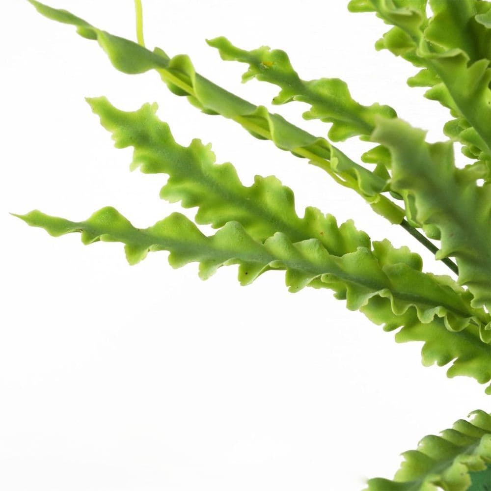 image-40cm Artificial Crocodile Fern Plant