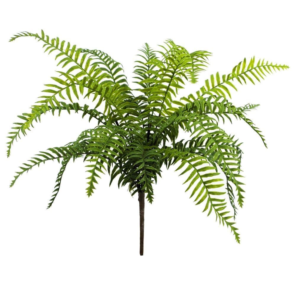 image-50cm Artificial Boston Fronded Fern Plant