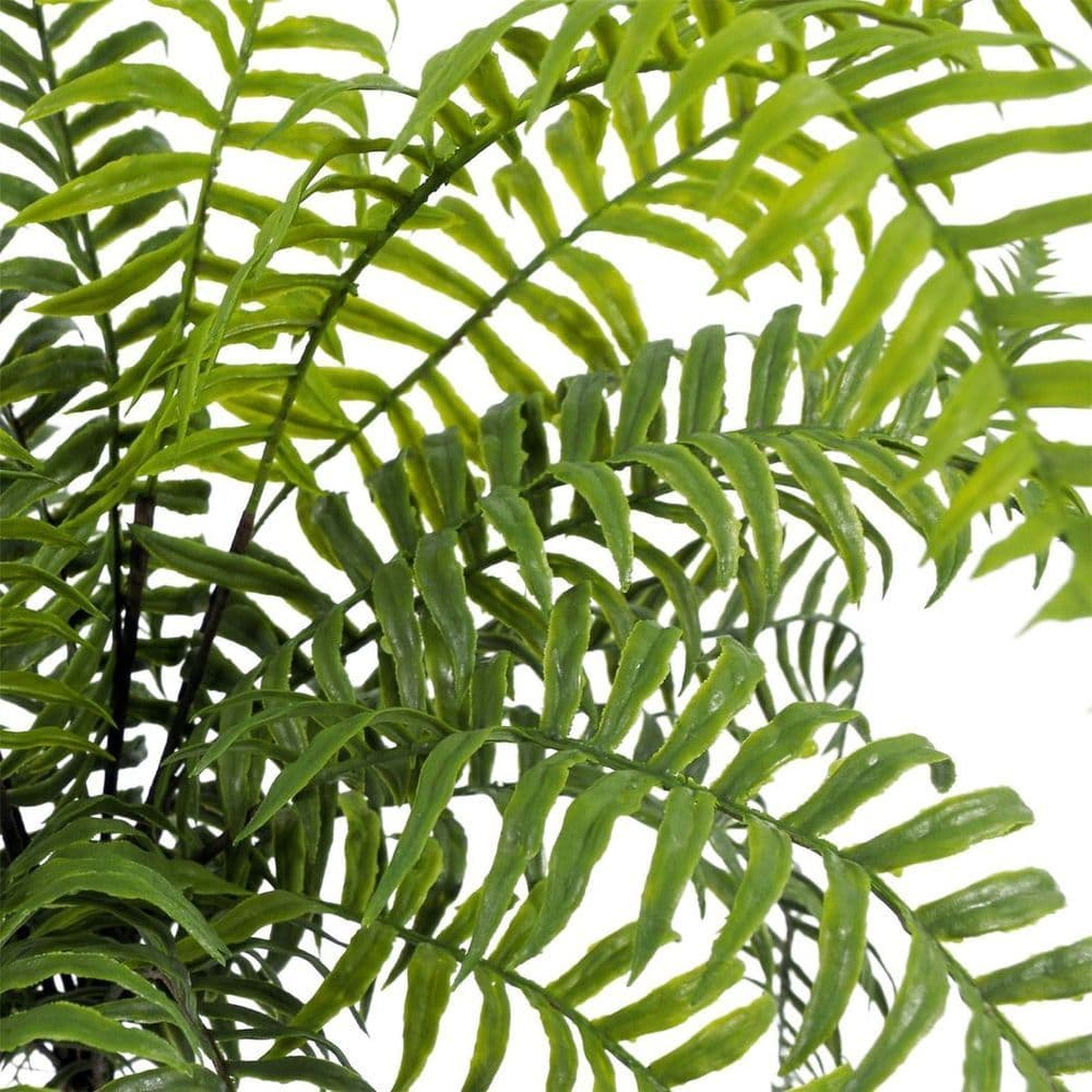 image-50cm Artificial Boston Fronded Fern Plant