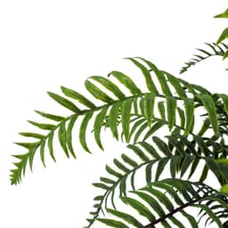 image-50cm Artificial Boston Fronded Fern Plant