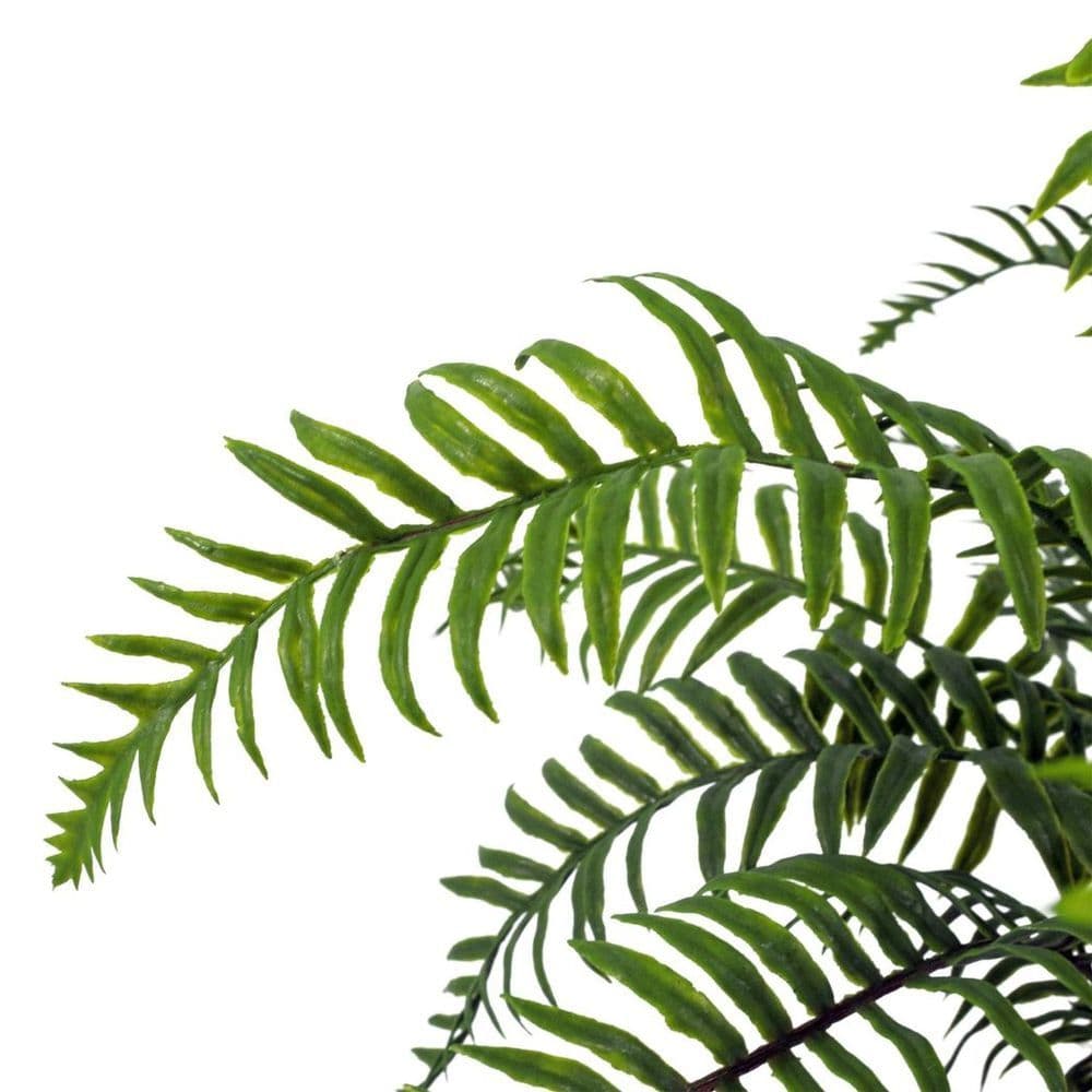 image-50cm Artificial Boston Fronded Fern Plant