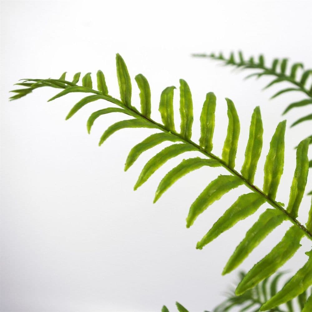 image-50cm Artificial Boston Fronded Fern Plant