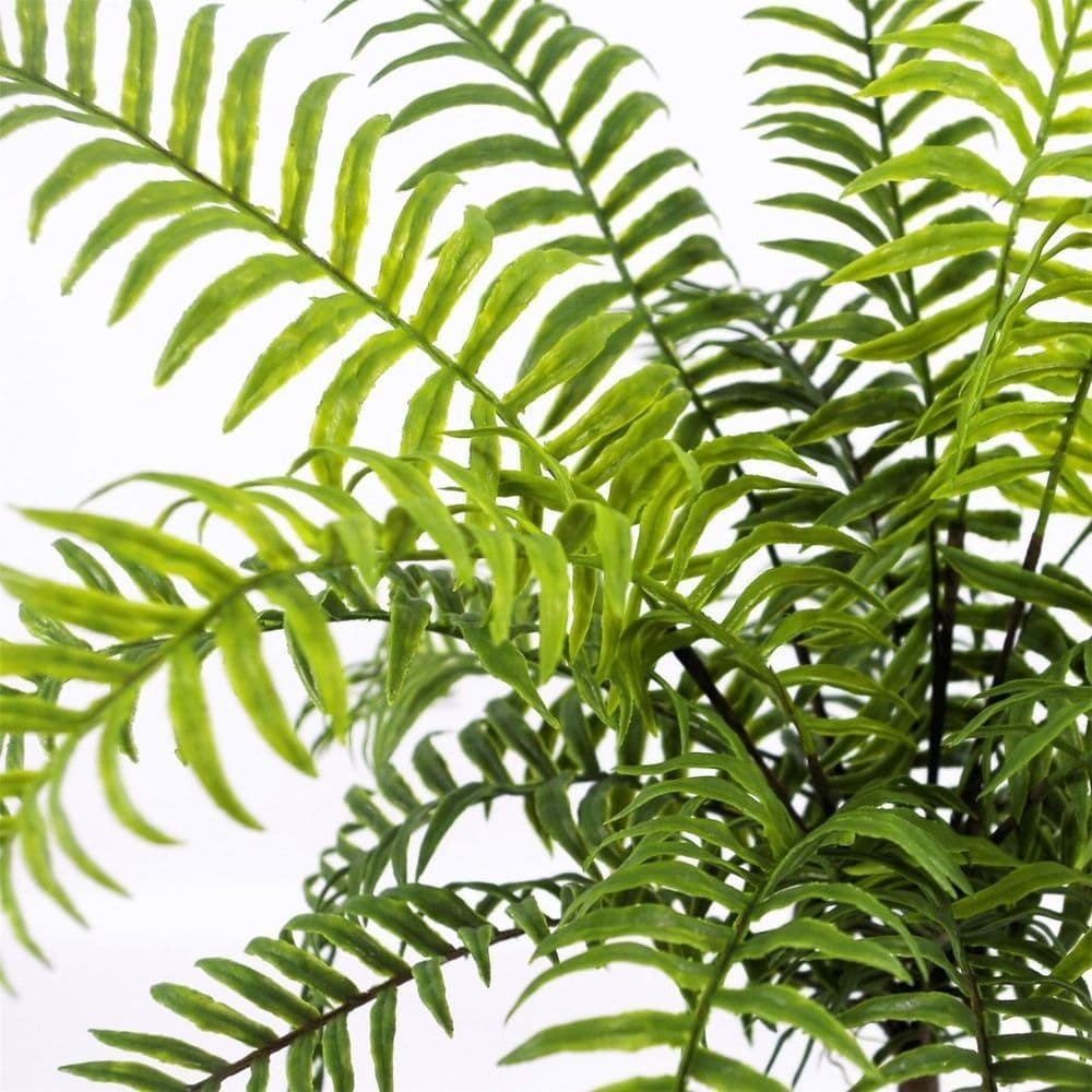 image-50cm Artificial Boston Fronded Fern Plant