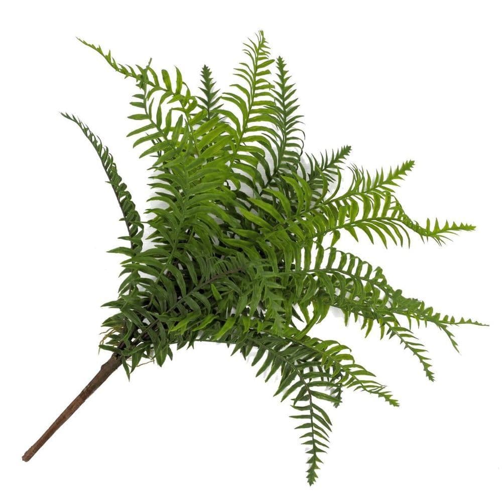 image-50cm Artificial Boston Fronded Fern Plant