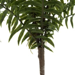 image-50cm Artificial Boston Fronded Fern Plant