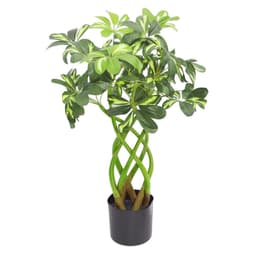 image-70cm Artificial Plant Bonsai Bush Twisted Stem Golden Capella