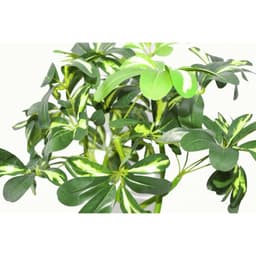 image-70cm Artificial Plant Bonsai Bush Twisted Stem Golden Capella
