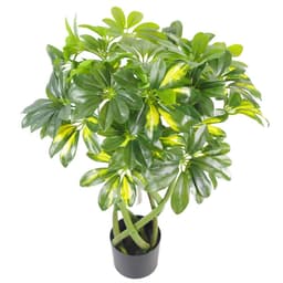 image-70cm Artificial Plant Bonsai Bush Twisted Stem Golden Capella
