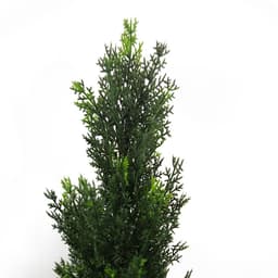 image-90cm Pair of Artificial Cedar Cypress Topiary UV Resistant