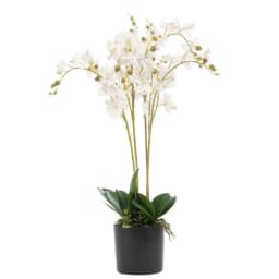 image-60cm Leaf Design UK Realistic Artificial Orchid Flower Display in Pot