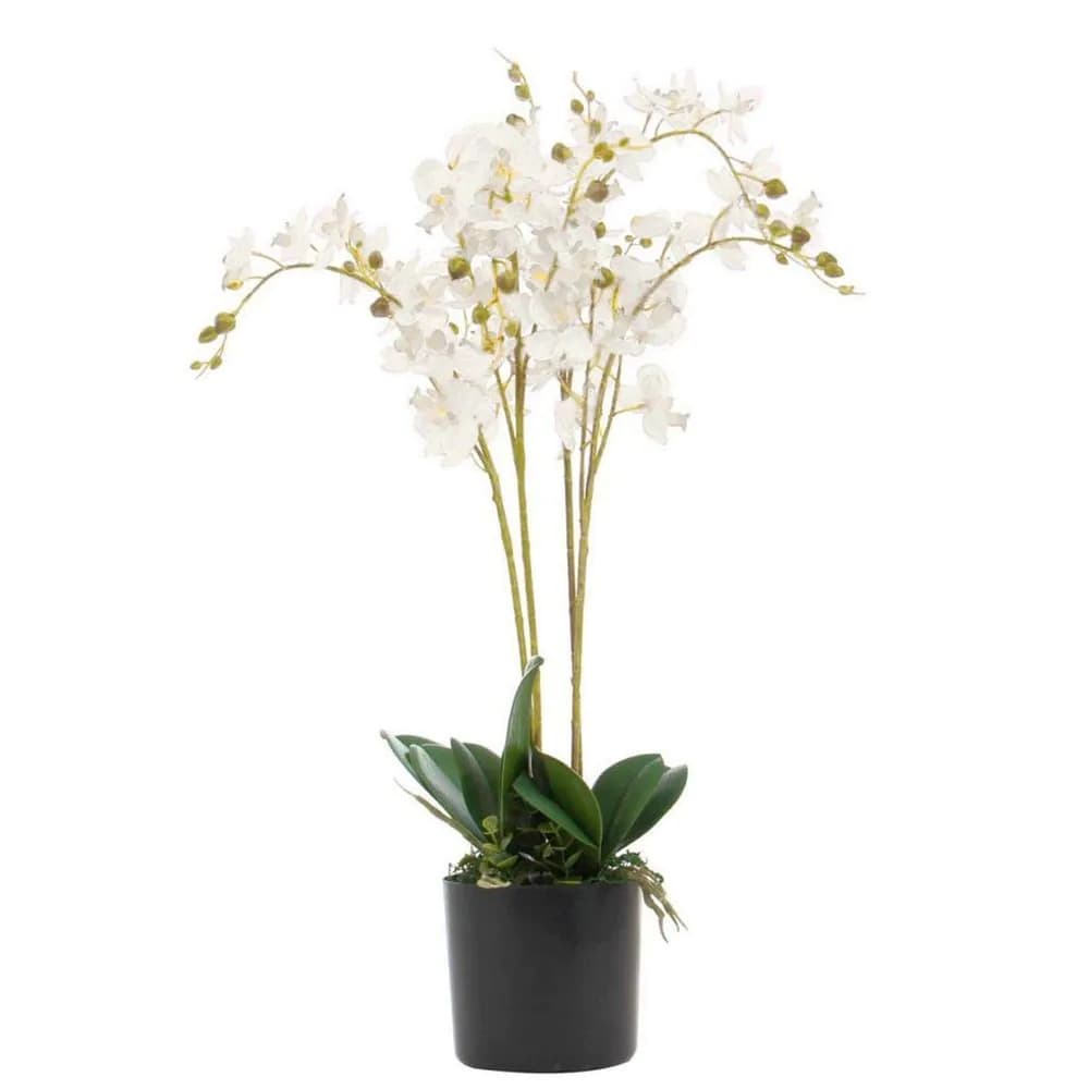 image-60cm Leaf Design UK Realistic Artificial Orchid Flower Display in Pot