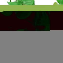 image-6 x 180cm Artificial Hanging Trailing Monstera Plant