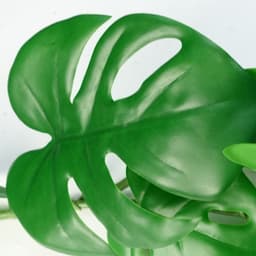 image-6 x 180cm Artificial Hanging Trailing Monstera Plant