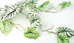 image-6 x 120cm Artificial Hanging Trailing Plant Alocasia Dragon Scale Light