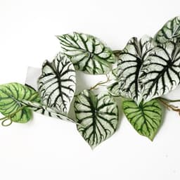 image-6 x 120cm Artificial Hanging Trailing Plant Alocasia Dragon Scale Light