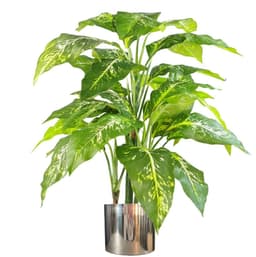 image-100cm Large Fox's Aglaonema (Spotted Evergreen) Tree Artificial Plant with Silver Metal Planter