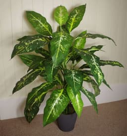 image-100cm Large Fox's Aglaonema (Spotted Evergreen) Tree Artificial Plant with Silver Metal Planter