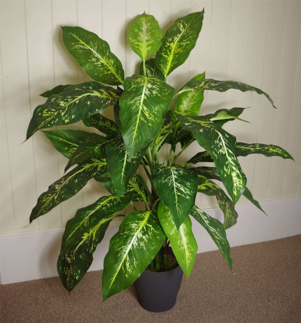 image-100cm Large Fox's Aglaonema (Spotted Evergreen) Tree Artificial Plant with Silver Metal Planter
