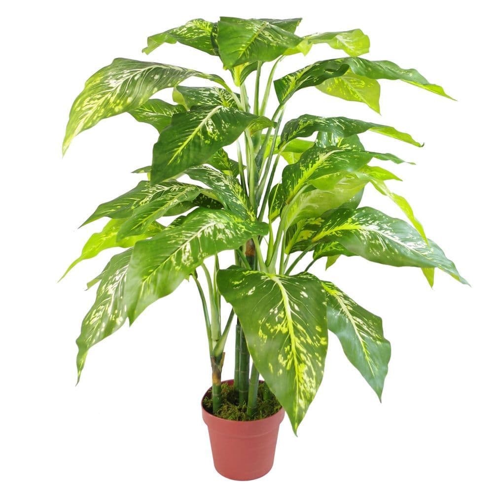 image-100cm Large Fox's Aglaonema (Spotted Evergreen) Tree Artificial Plant with Silver Metal Planter