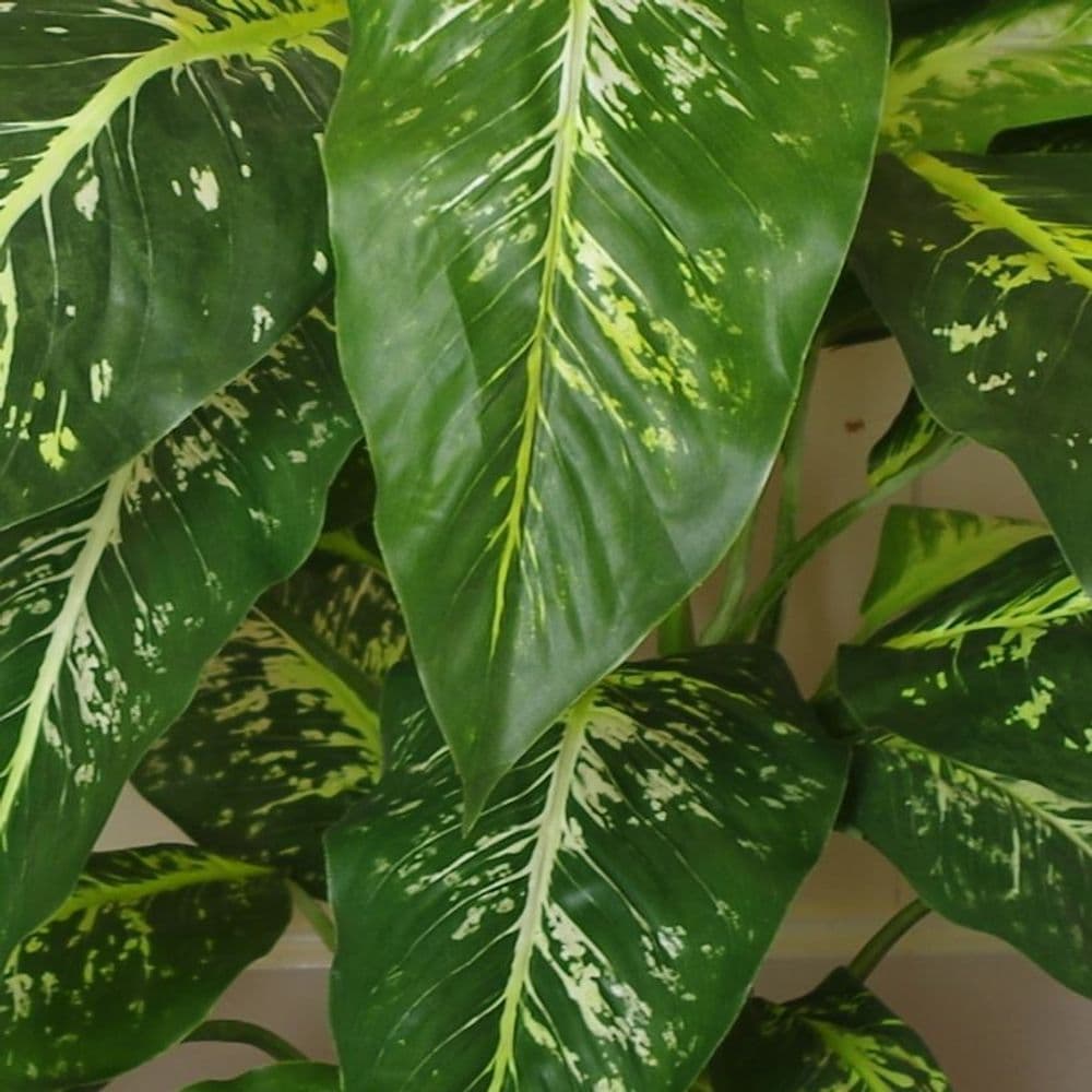 image-100cm Large Fox's Aglaonema (Spotted Evergreen) Tree Artificial Plant with Gold Metal Planter