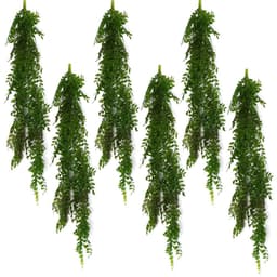 image-6 x 100cm Hanging String of Pearls Fern Plant Dark Green