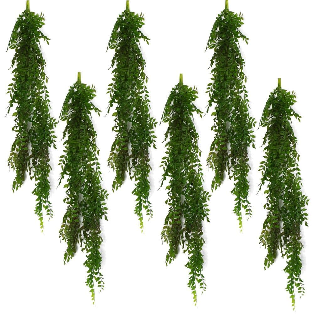 image-6 x 100cm Hanging String of Pearls Fern Plant Dark Green