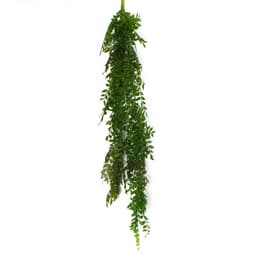 image-6 x 100cm Hanging String of Pearls Fern Plant Dark Green
