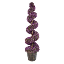 image-120cm Pair of Purple Large Leaf Spiral Topiary Trees with Decorative Planters