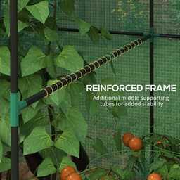 image-Outsunny Walk-in Green House with Roll-up Door and Mesh Windows, 200x140x200cm