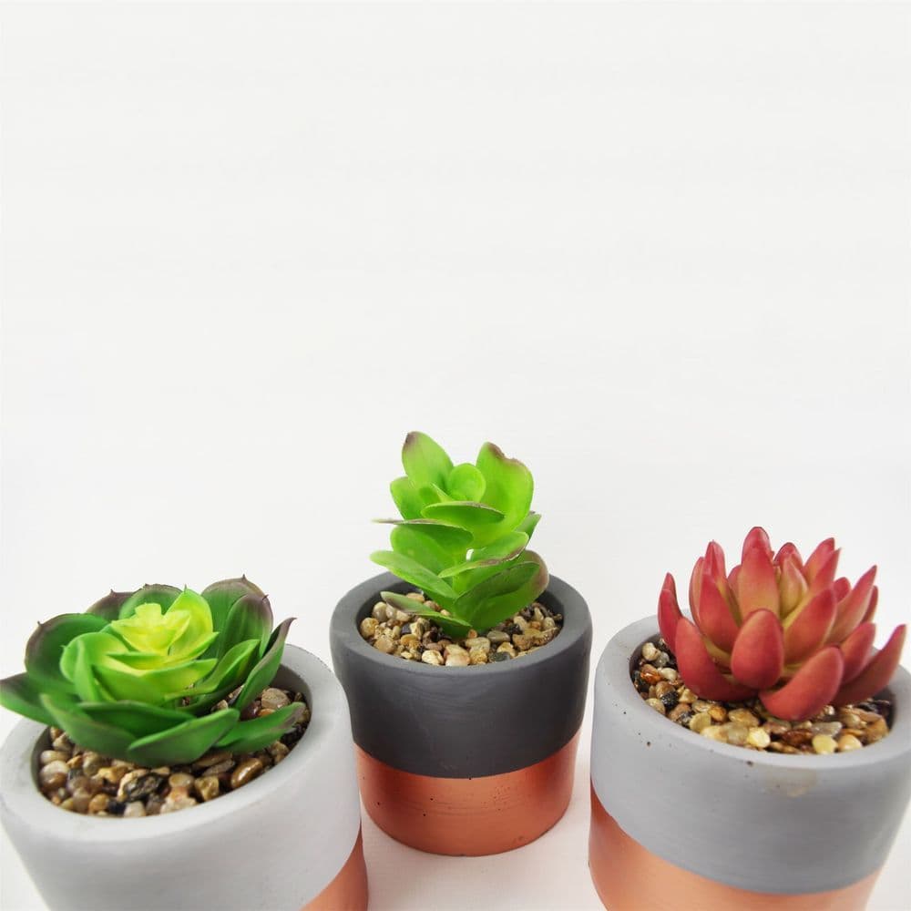 image-14cm Set of Three Stoneware Mini Copper Band Planters with Artificial Succulent Plants