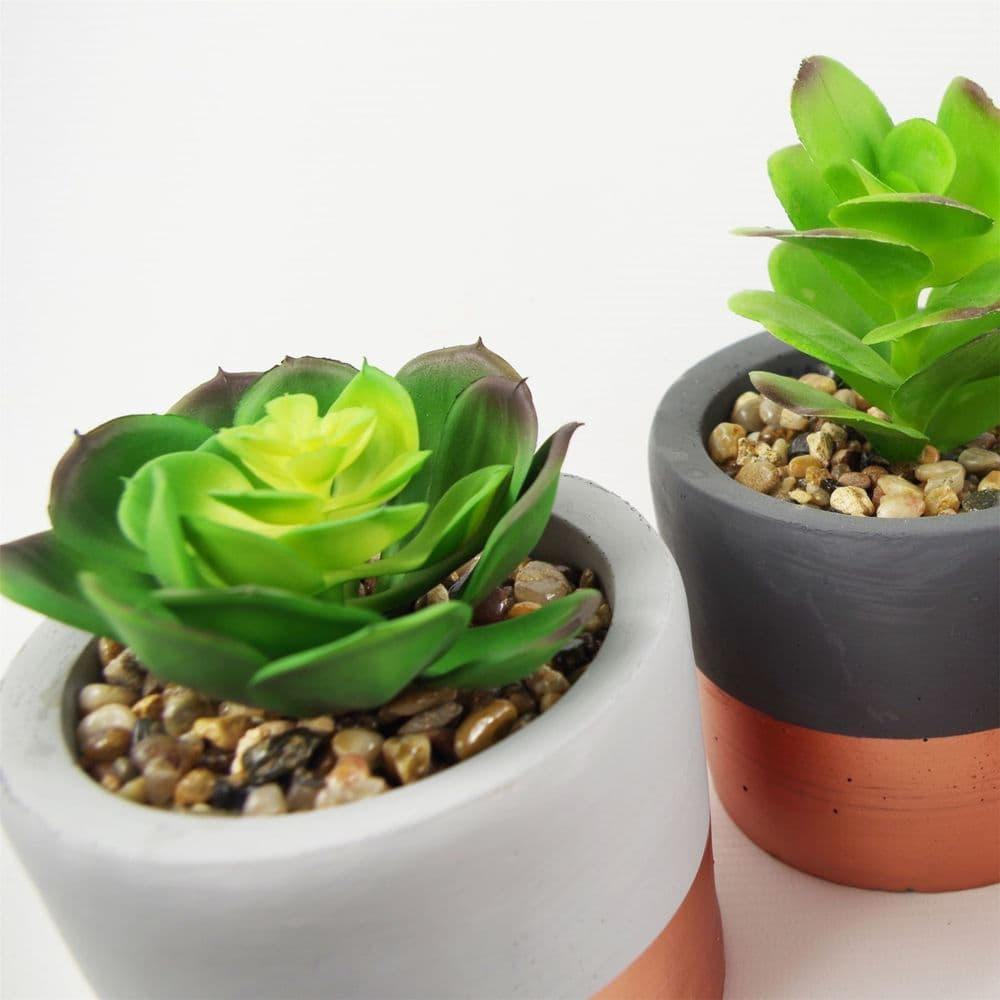 image-14cm Set of Three Stoneware Mini Copper Band Planters with Artificial Succulent Plants