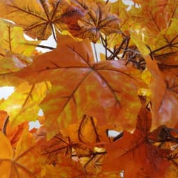 image-125cm Orange Maple Acer Extra Large Artificial Tree